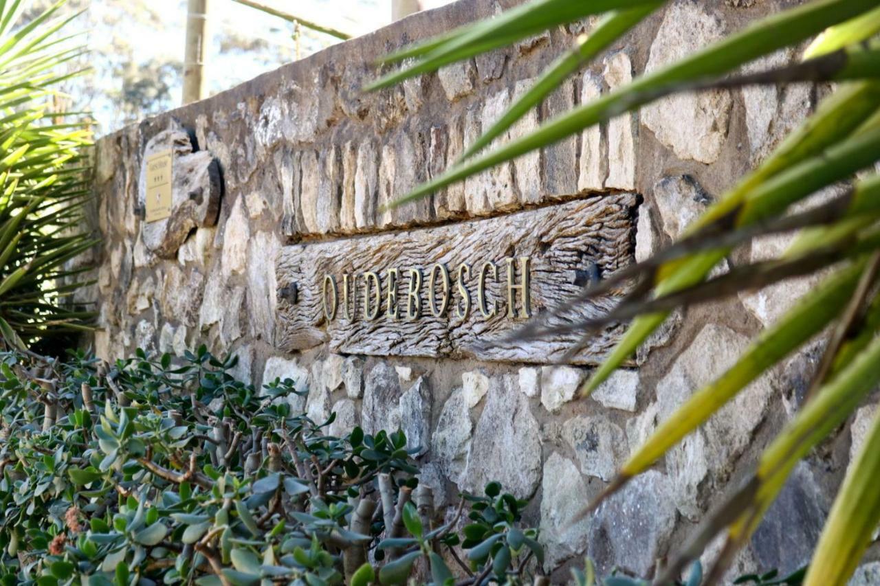 Oudebosch Guest Farm Villa Riversdale Ngoại thất bức ảnh